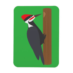 Imán Pájaro carpintero