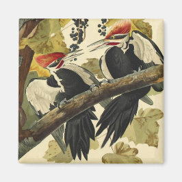 Imán Pájaro carpintero perpendicular, John James Audubo