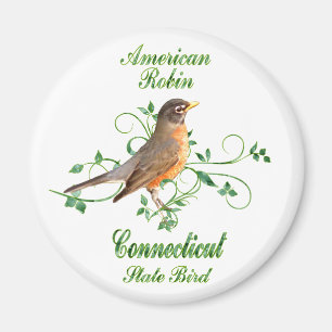Imán Pájaro de estado de Connecticut del petirrojo