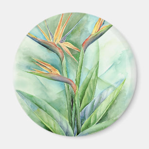 Imán Pájaro De Flor Tropical De Pintura De Paraíso - Mú