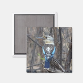 Imán Pájaro de Kookaburra