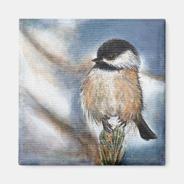 Imán Pájaro de la Canción de Chickadee con gorra negra