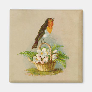 Imán Pájaro de la primavera en cesta