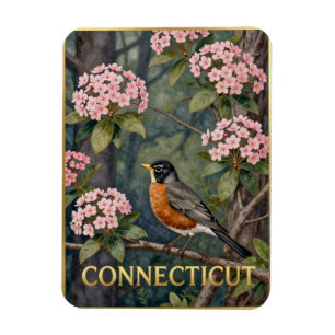 Imán Pájaro del estado de Connecticut y naturaleza de l