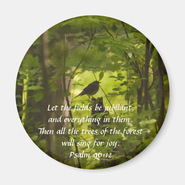 Imán Pájaro en el bosque verde (Frente)