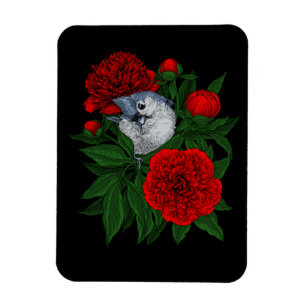 Imán Pájaro en un ramo de peonía rojo