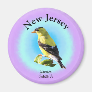 Imán Pájaro estatal de Nueva Jersey