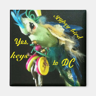 Imán Pájaro gitano