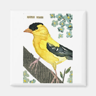Imán Pájaro: Goldfinch