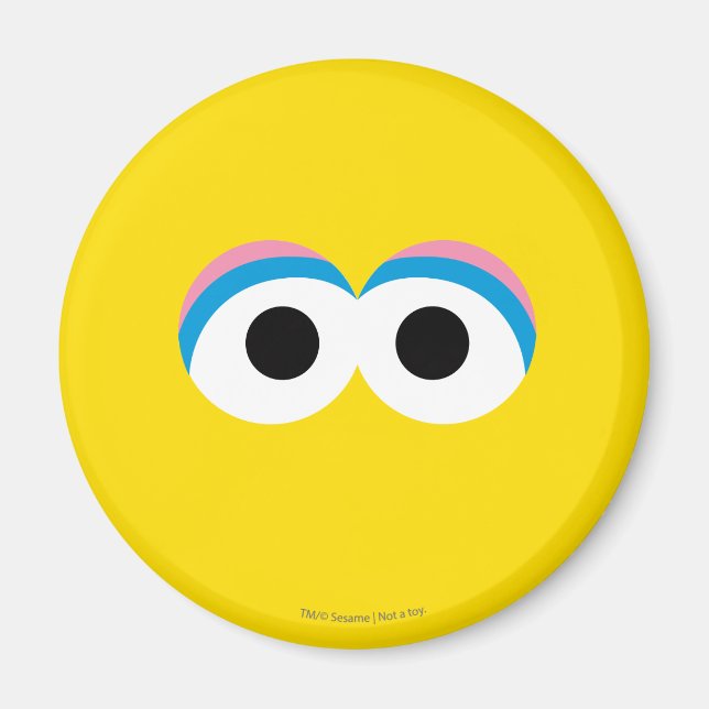 Imán Pájaro Grande Cara Grande (Frente)