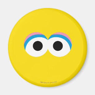 Imán Pájaro Grande Gran Cara