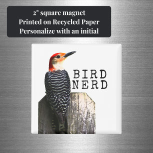 Imán Pájaro leñador rojo nervioso