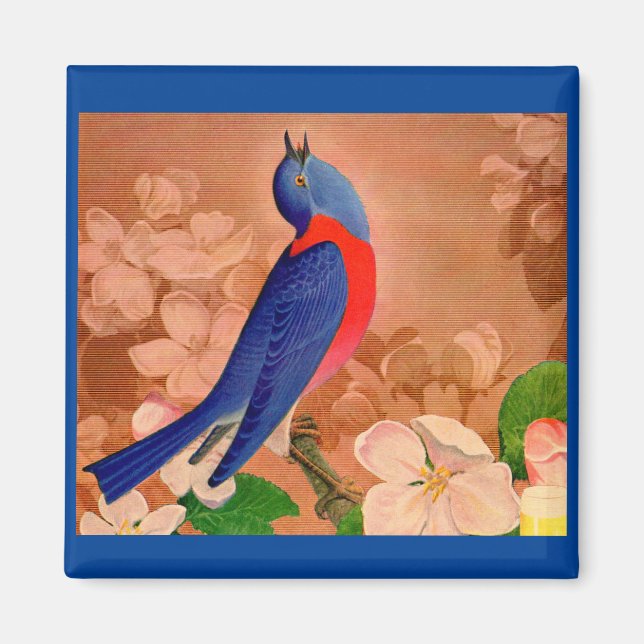 Imán pájaro mozo de la felicidad (Frente)