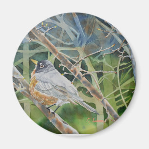 Imán Pájaro Robin en ramitas sobre un árbol
