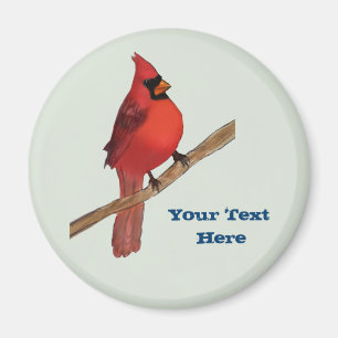Imán Pájaro rojo cardinal septentrional