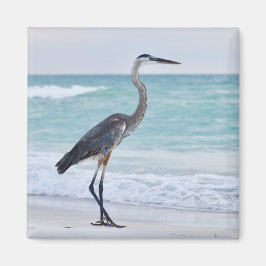 Imán pájaros de la playa de Florida
