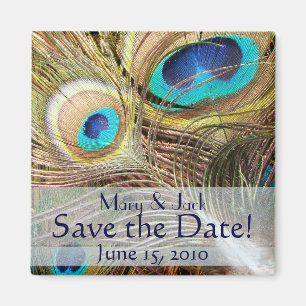 Imán Pájaros de pavo real con animales salvajes