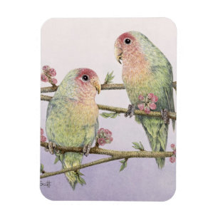 Imán Pájaros del amor