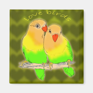 Imán pájaros del amor