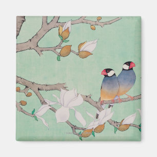 Imán Pájaros gemelos en las ramas