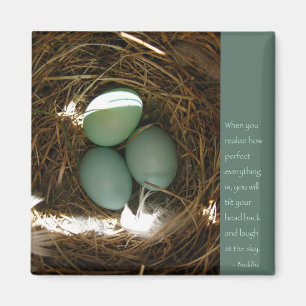 Imán Palabras budistas de sabiduría