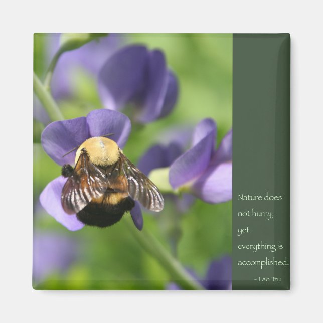 Imán Palabras de sabiduría en lao-zu (Frente)