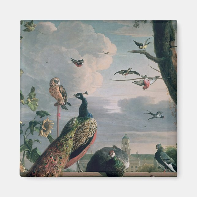 Imán Palacio de Amsterdam con aves exóticas (Frente)