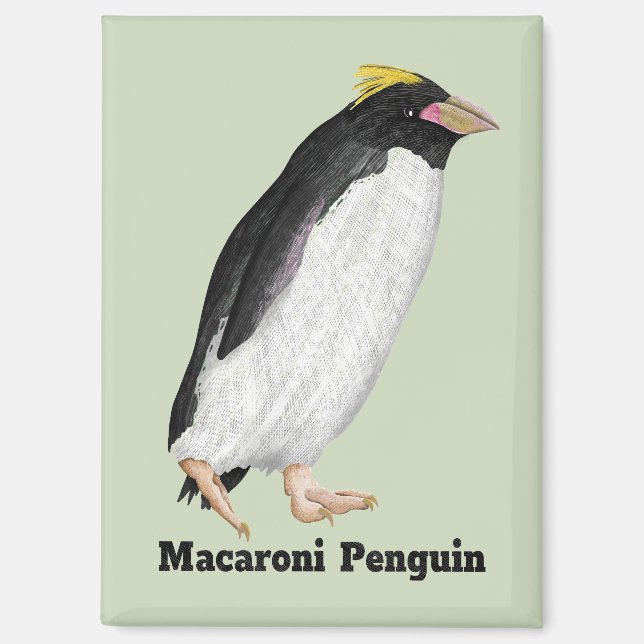 Imán Palaeeudyptes Extinct Penguin (Anverso)