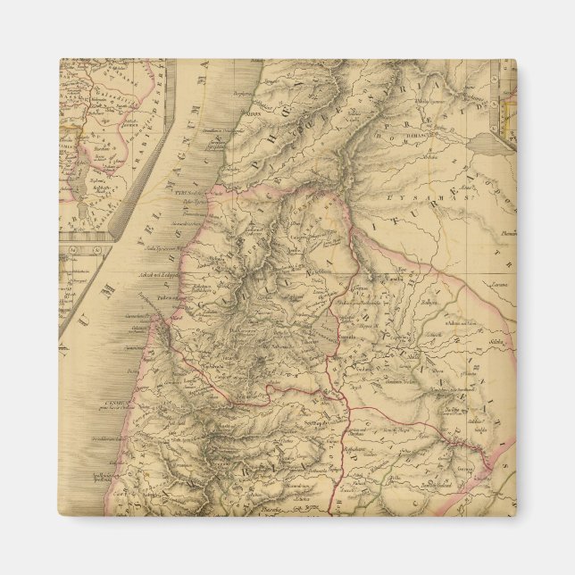 Imán Palestina (Frente)