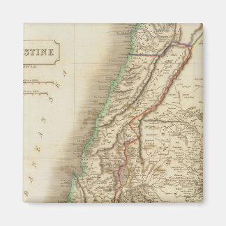 Imán Palestina 2
