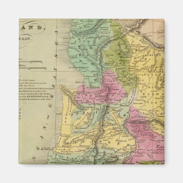 Imán Palestina, o Tierra Santa (Frente)