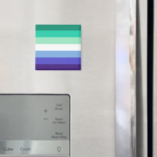 Imán Paleta de la bandera de hombres gays inclusiva tra