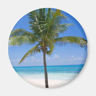 Imán Palm de Bahamas