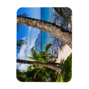 Imán Palm Trees Along Hideaways Beach