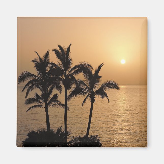 Imán Palm Trees and Romantic Sunset (Frente)
