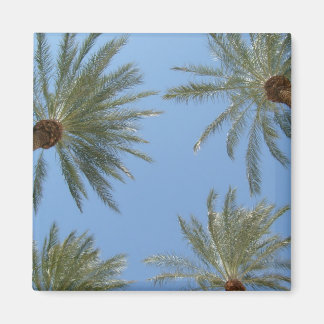 Imán Palm Trees Magnet