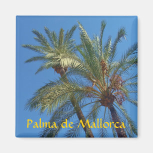 Imán Palma de Mallorca - Magnet de souvenir