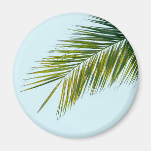 Imán Palma Tropical Verde en Azul Claro