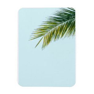 Imán Palma Tropical Verde en Azul Claro