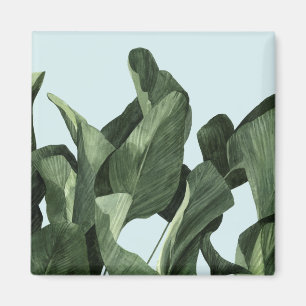 Imán Palmas Celadon