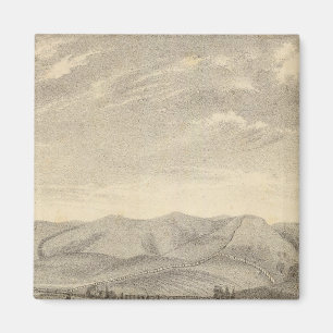 Imán Palmer res, viñedo