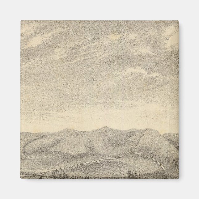 Imán Palmer res, viñedo (Frente)