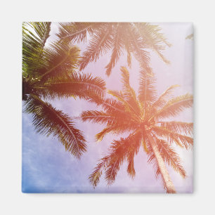 Imán Palmera del coco con luz del sol