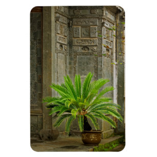 Imán Palmera Hongcun, China