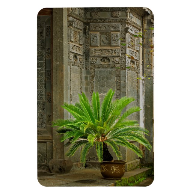 Imán Palmera | Hongcun, China (Vertical)