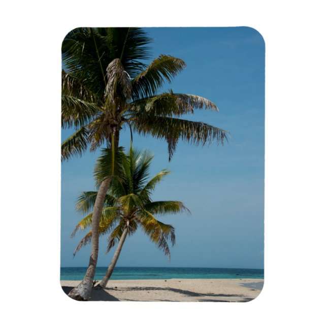 Imán Palmera y playa de arena blanca (Vertical)