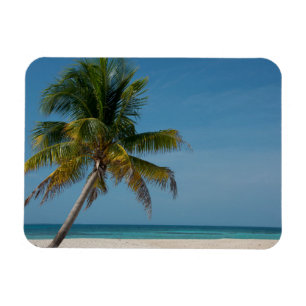 Imán Palmera y playa de arena blanca 2