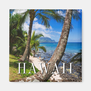 Imán Palmeras a lo largo de la playa de Hideaways