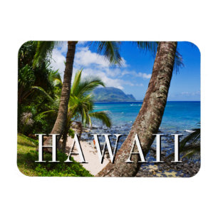 Imán Palmeras a lo largo de la playa de Hideaways