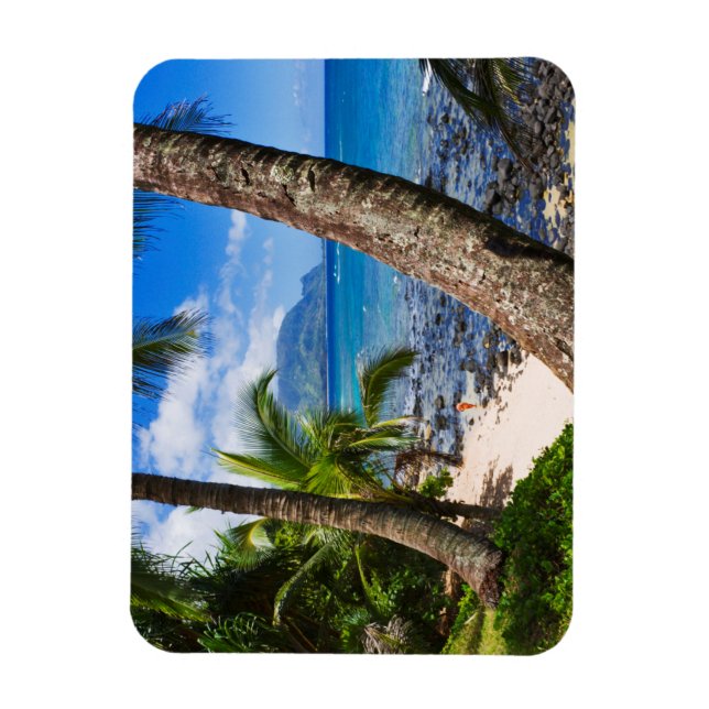 Imán Palmeras a lo largo de la playa Hideaways (Vertical)